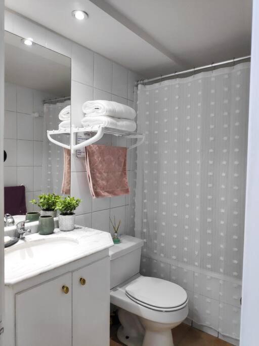 Apartamento Acogedor Y Tranquilo, En El Corazon De Providencia *
